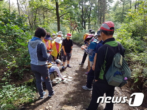 본문 이미지 - 추석연휴 장수군을 찾은 관광객들이 계곡을 따라 등반을 하고 있다./뉴스1ⓒ News1