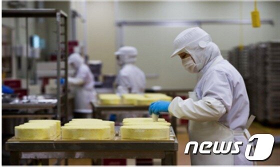 본문 이미지 - 구례자연드림파크 내 공장 작업 모습(아이쿱농산 제공) ⓒ News1