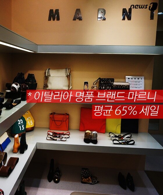 본문 이미지 - ⓒ News1