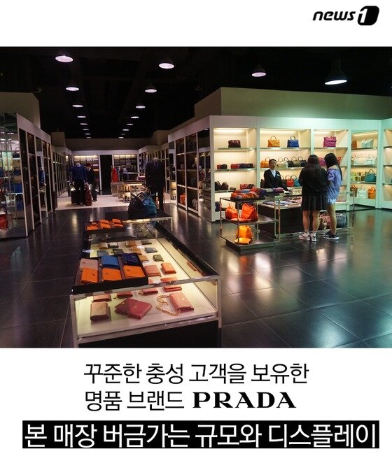 본문 이미지 - ⓒ News1