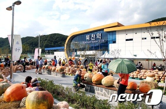 본문 이미지 - 하동 북천역 광장에서는 호박축제가  펼쳐지고 있다.ⓒ News1