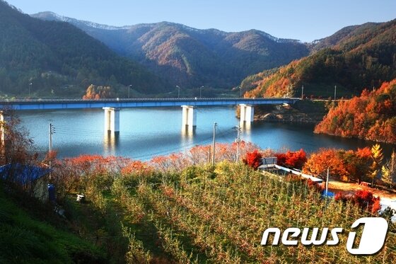 본문 이미지 - 진안군 정천면에서 용담면을 거쳐 용담댐으로 이어지는 도로는 호수의 경관과 어울려 환상의 드라이브 코스로 불리운다.(진안군 제공, 김수정 작가의 '호반의 가을')2016.9.30 /뉴스1 ⓒ News1 김대홍 기자