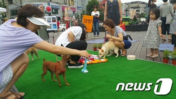 본문 이미지 - '제1회 삼선동 반려동물 축제'에 참가한 주민들과 반려견들. ⓒ News1