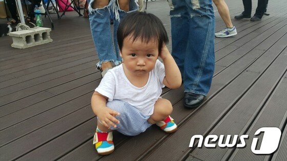 본문 이미지 - 부모와 함께 '제1회 삼선동 반려동물 축제'를 찾은 아이. ⓒ News1