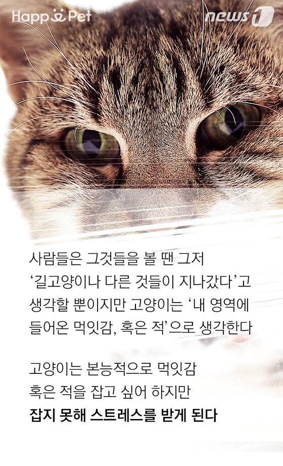 본문 이미지 -  