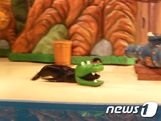 본문 이미지 - 국내 동물원 동물쇼에 동원된 캘리포니아바다사자의 모습. 이런 모습을 통해서는 바다사자와 그 삶에 대해서는 물론 그들을 이해하고 존중하는 방법 또한 배울 수 없다. (사진 최혁준) ⓒ News1