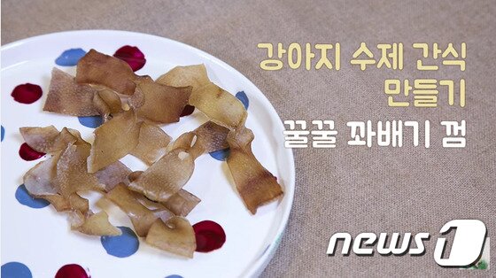 본문 이미지 - 사진 은쌤의 강아지 수제간식 만들기 영상 캡처.(hows tv 제공)ⓒ News1