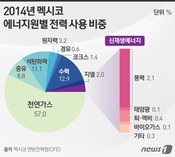 본문 이미지 - ⓒ News1 이은주 디자이너