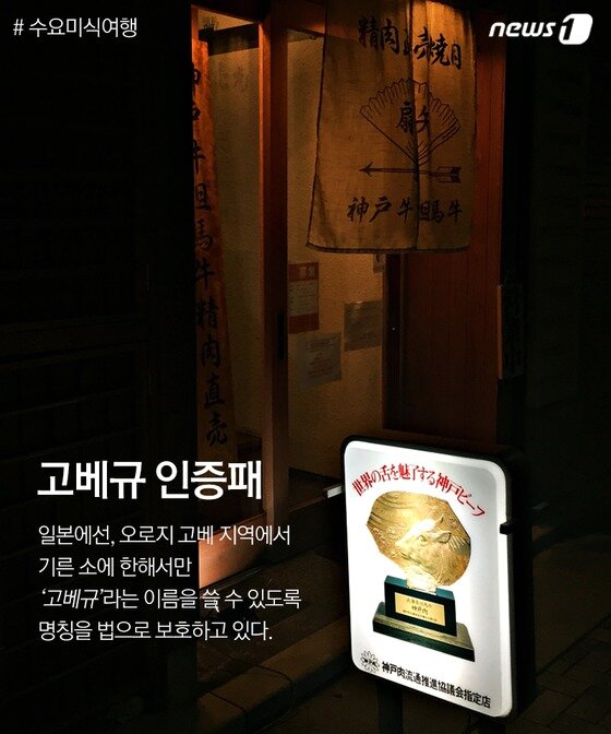 본문 이미지 - ⓒ News1 윤슬빈 기자