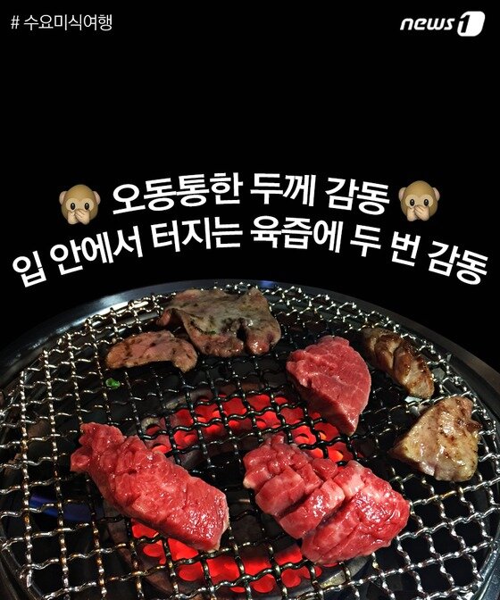 본문 이미지 - ⓒ News1 윤슬빈 기자