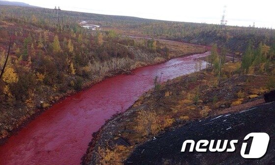 본문 이미지 - ⓒ News1