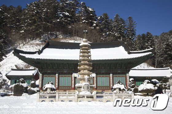 본문 이미지 - 월정사 팔각구층석탑ⓒ News1