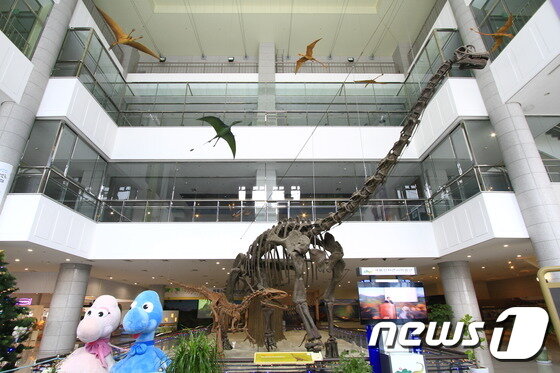 본문 이미지 - 계룡산자연사박물관 ⓒ News1