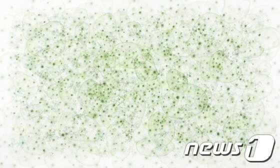 본문 이미지 - Gesture 16012, 97x162cm, Mixed Media on canvas 2016 ⓒ News1