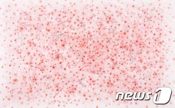 본문 이미지 - Gesture 16020 , 80x130cm, Mixed Media on canvas 2016 ⓒ News1