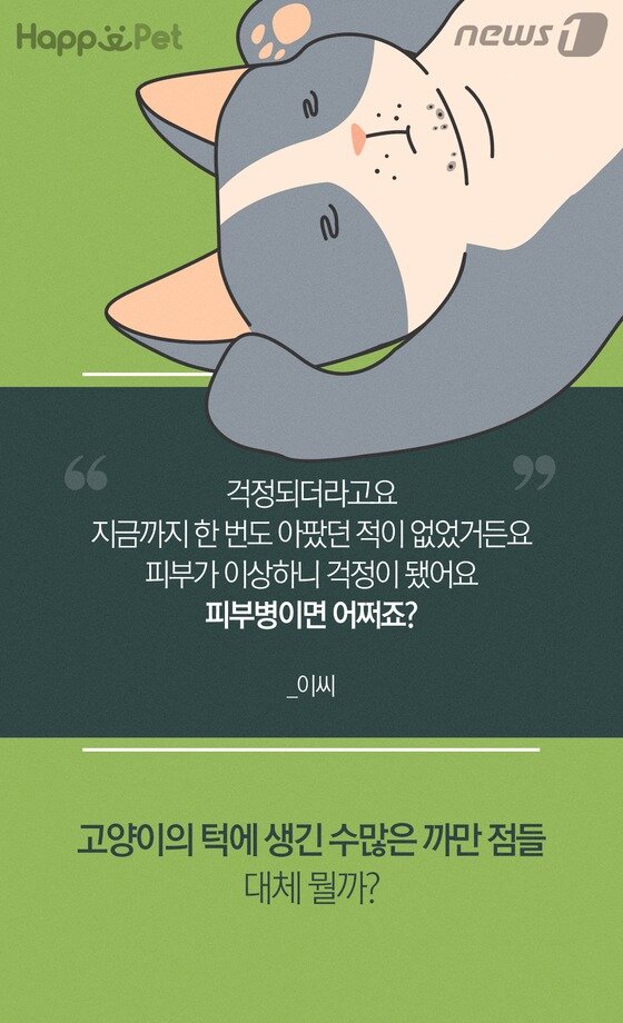 본문 이미지 -  