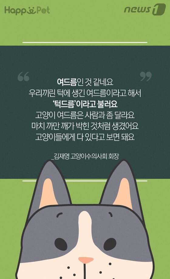 본문 이미지 -  