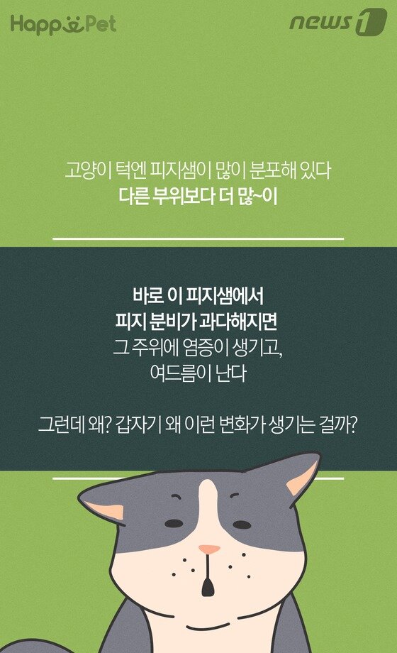 본문 이미지 -  