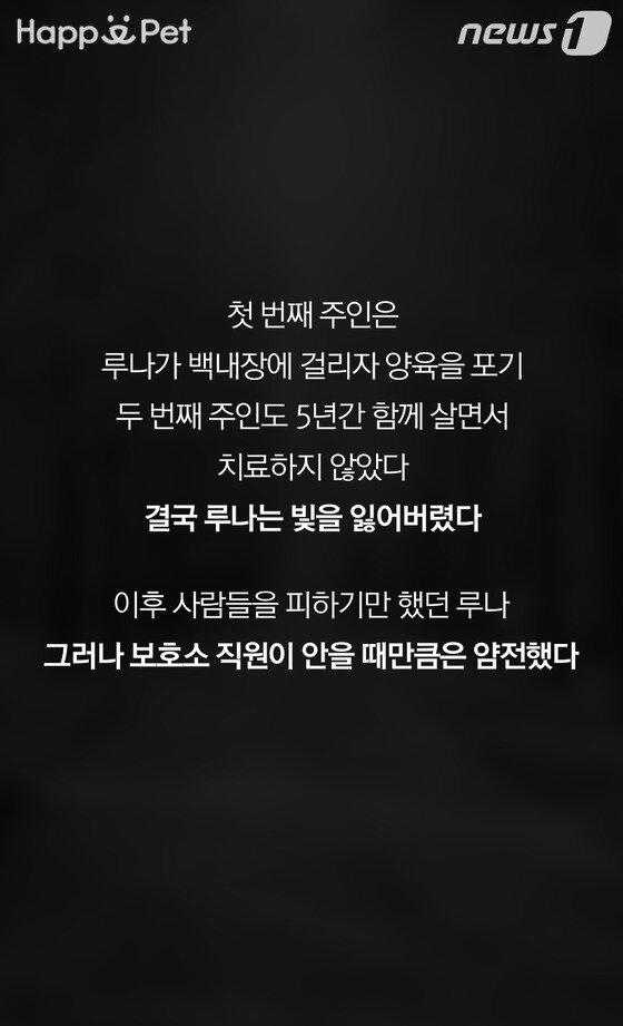 본문 이미지 -  