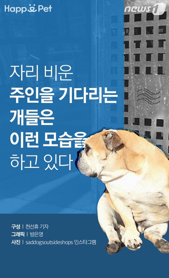 본문 이미지 -  