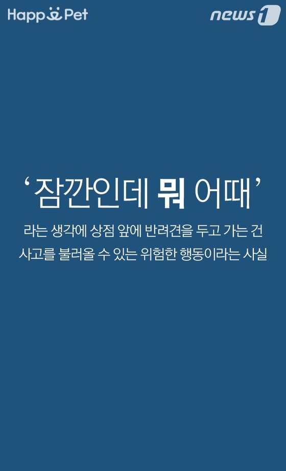 본문 이미지 -  
