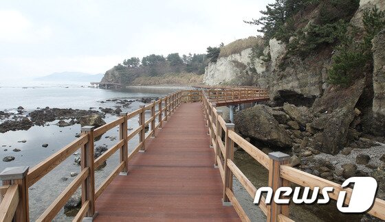본문 이미지 - 포항시 남구 동해면 입암리 해안둘레길(뉴스1 자료)ⓒ News1