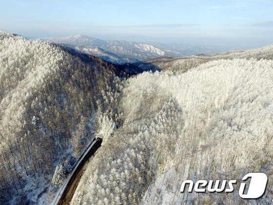 본문 이미지 - 강원도 횡성군 둔내면 청태산일대에 눈이 쌓여 그림같은 풍경을 보이고 있다.  ⓒ News1 박세연 기자