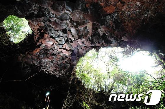 본문 이미지 -  거문오름 용암동굴계 상류동굴군(웃산전굴, 북오름굴, 대림굴). 사진은 천장창 형태를 이루는 대림굴 입구. (문화재청 제공) /뉴스1