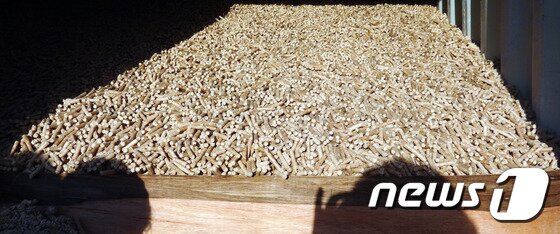 본문 이미지 - 목재 펠릿.&#40;관세청 제공&#41; 2017.1.4/뉴스1