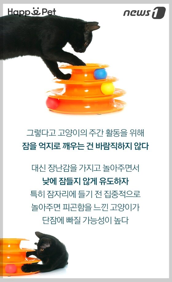 본문 이미지 -  