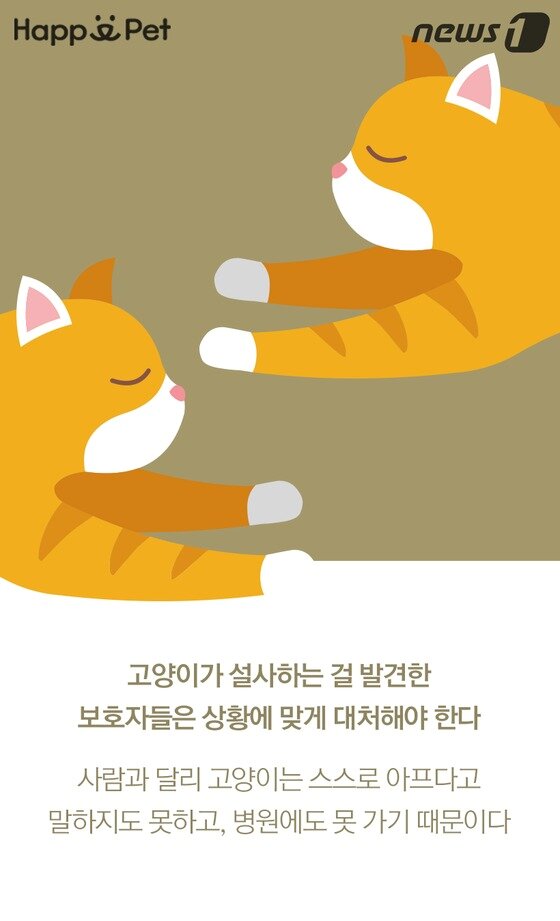 본문 이미지 -  