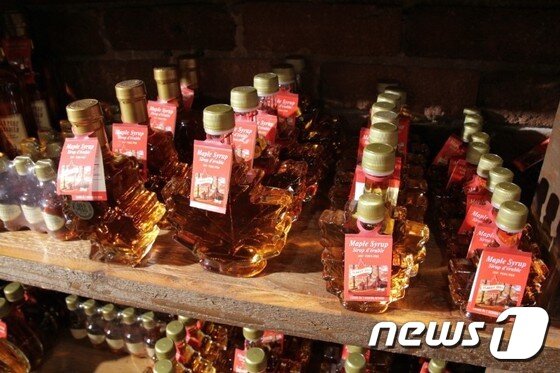 본문 이미지 - 팬케이크에 뿌려 먹거나 홍차나 커피 등에 타 마시는 메이플 시럽.(이미지제공=캐나다관광청)ⓒ News1