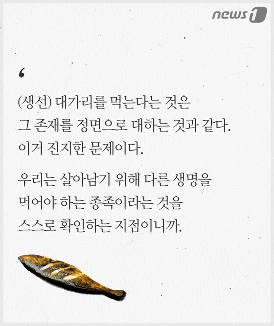 본문 이미지 - ⓒ News1
