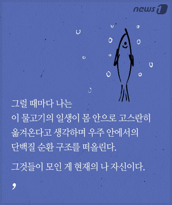 본문 이미지 - ⓒ News1