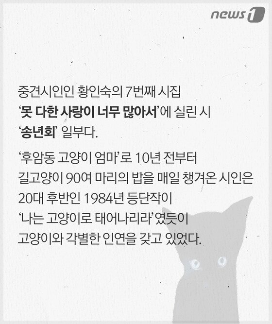 본문 이미지 - ⓒ News1