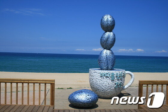 본문 이미지 - 강릉 커피 커리 ⓒ News1