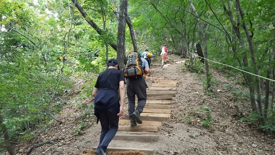 새부리에 눈 다치고 구조작업 트라우마까지…국립공원 직원 산재↑