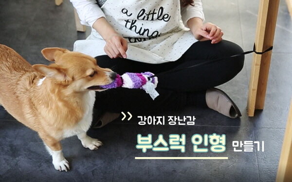 본문 이미지 - 사진 이은주씨의 강아지 장난감 만들기 hows tv 영상 캡처 ⓒ News1