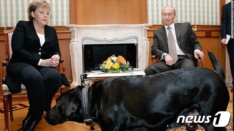 본문 이미지 - 지난 2007년 앙겔라 메르켈 독일 총리가 겁에 질린 채 블라디미르 푸틴 러시아 대통령의 반려견 '코니'를 보고 있다.  ⓒ AFP=뉴스1