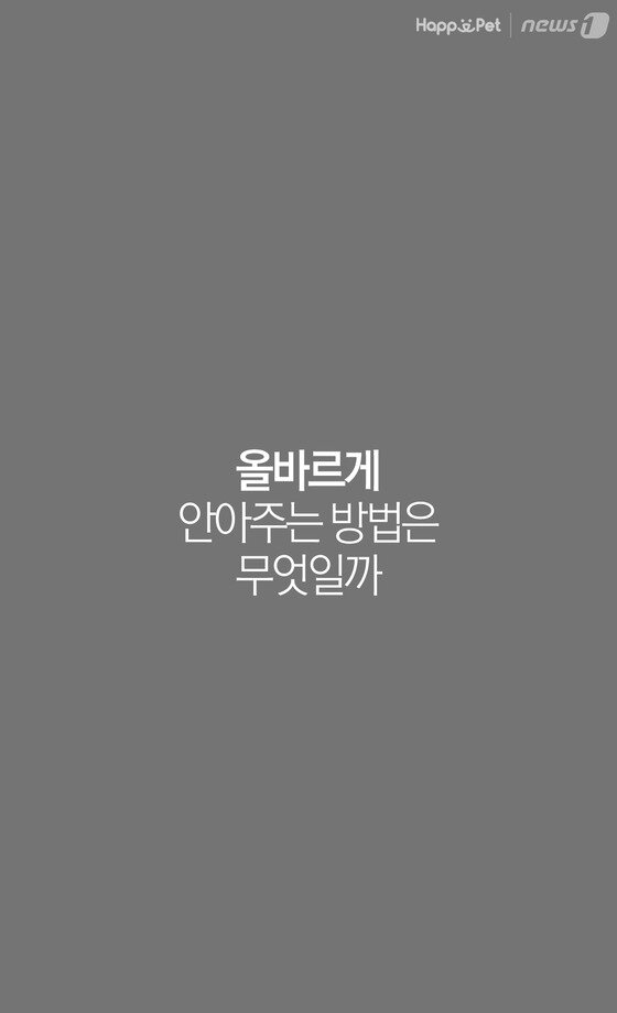 본문 이미지 -  