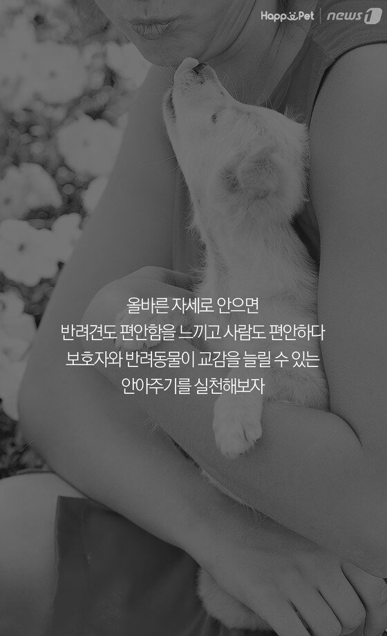 본문 이미지 -  