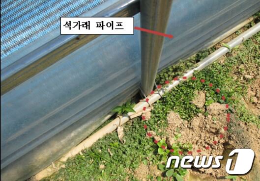 본문 이미지 - 석가래 파이프와 줄기초 파이프를 연결하는 장치를 강판조리대를 사용해야 하지만 값싼 강선조리대를 사용한 모습.(강원지방경찰청제공) ⓒ News1 홍성우 기자