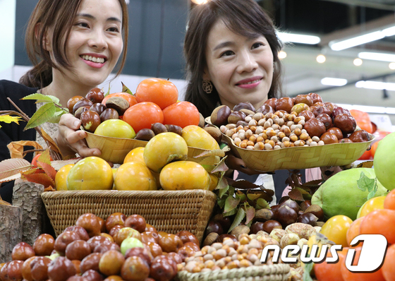 수확의 계절 '풍성한 가을 과일'