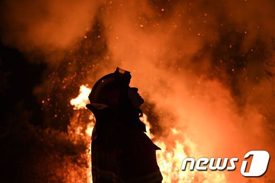 [사진] 포르투갈 산불…망연자실한 소방관