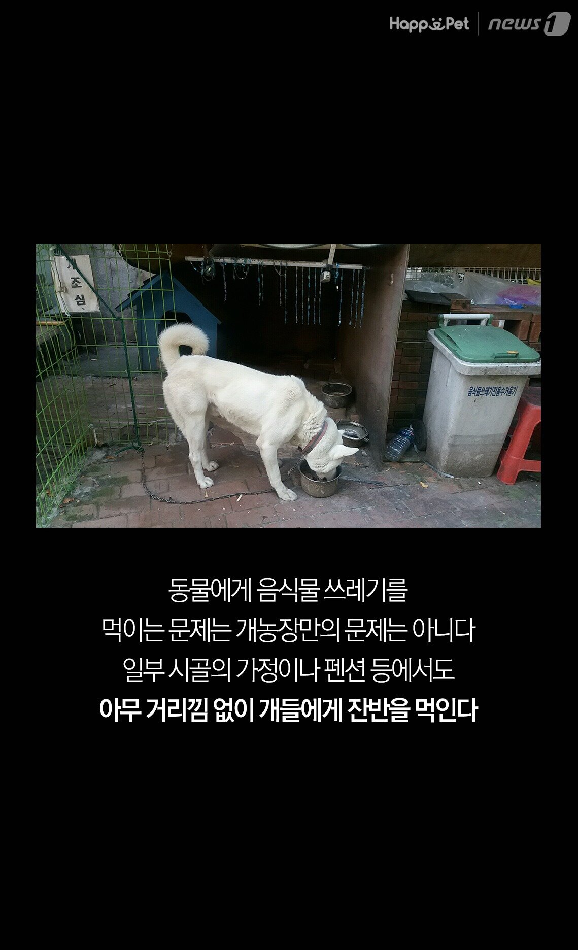 본문 이미지 -  