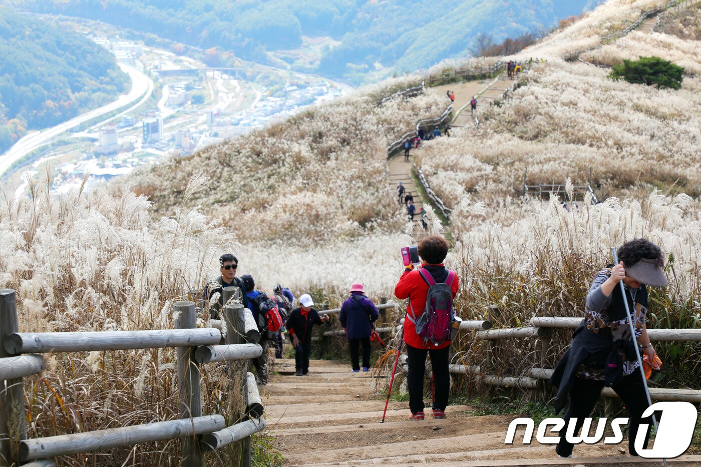 본문 이미지 - 강원도 정선군 민둥산을 찾은 여행객들이 만개한 억새풀을 보며 가을의 정취를 만끽하고 있는 모습./뉴스1DB