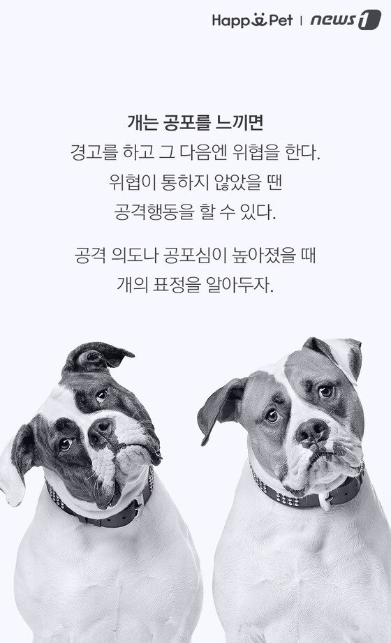 본문 이미지 -  