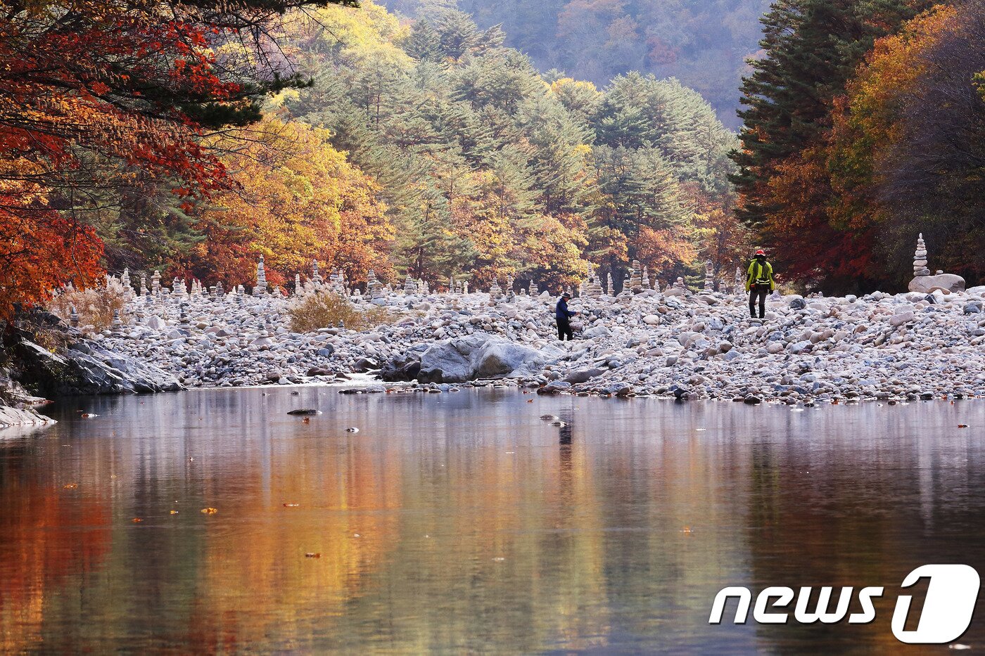 본문 이미지 - 인제 백담계곡의 가을.자료사진 &#40;인제군 제공, 재판매 및 DB 금지&#41; 