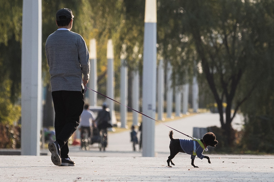 동해시, 펫동반 음식점 사전 접수…"시설기준 갖춰야 가능"