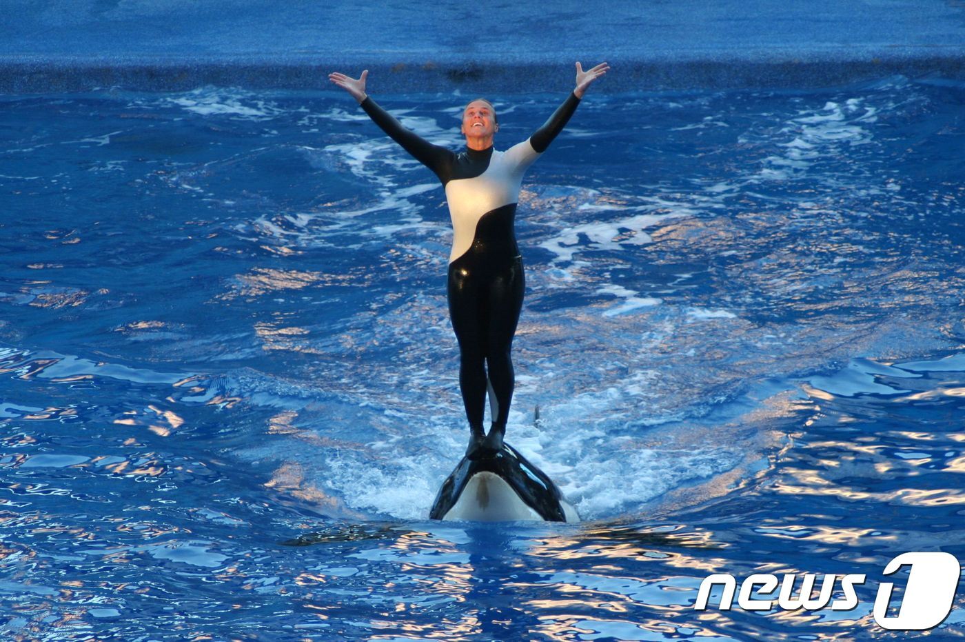 본문 이미지 - 틸리쿰의 공격으로 목숨을 잃은 조련사 돈 브랜쇼.(사진 Ed Schipil 제공)ⓒ News1